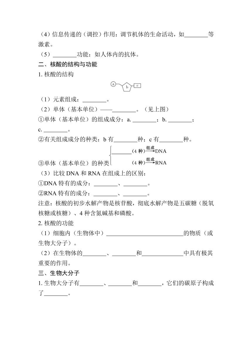 第3课时　蛋白质和核酸 复习学案（含答案）2024年江苏省普通高中学业水平合格性生物考试