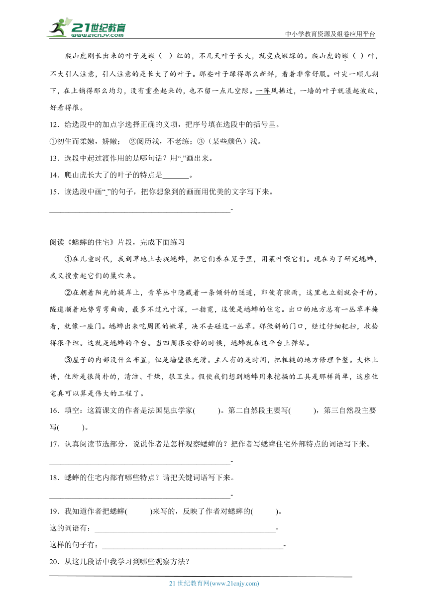 课件预览
