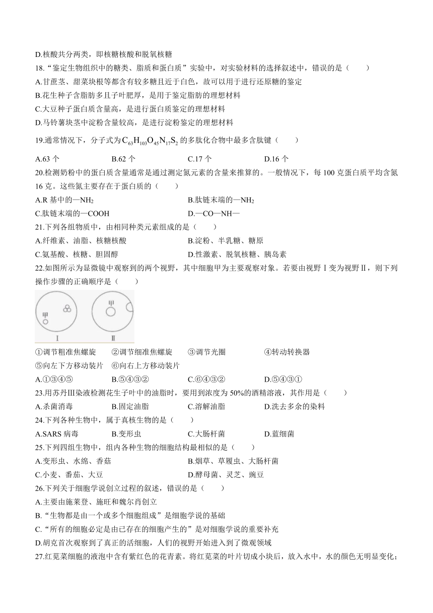 浙江省嘉兴市第三中学2023-2024学年高一上学期10月月考生物学试题（含答案）