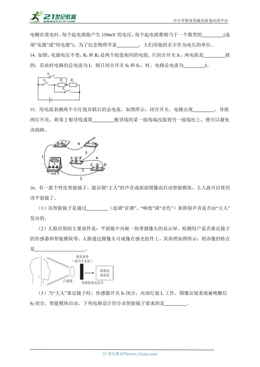 2024年中考科学第一轮复习：物理之电与电路