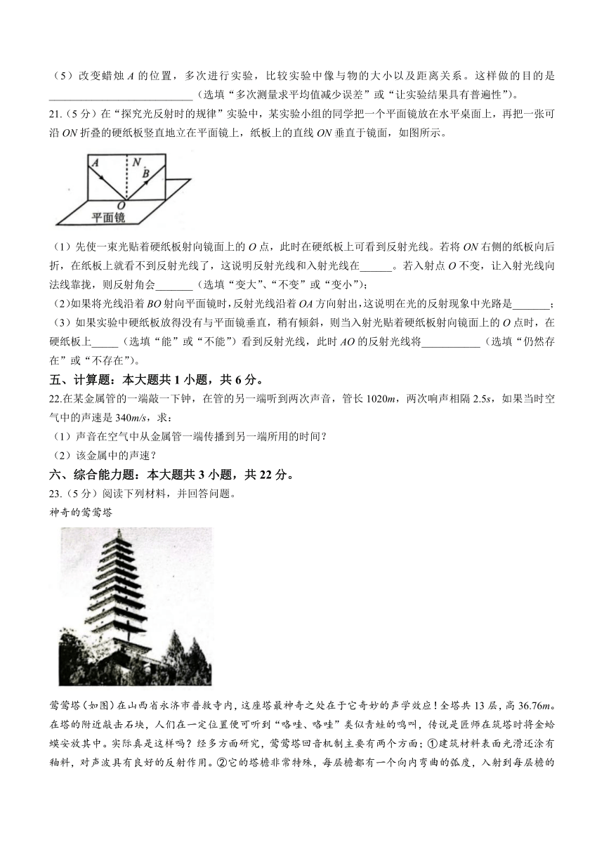 广东省茂名市电白区2023-2024学年八年级上学期期中考试物理试题（含答案）
