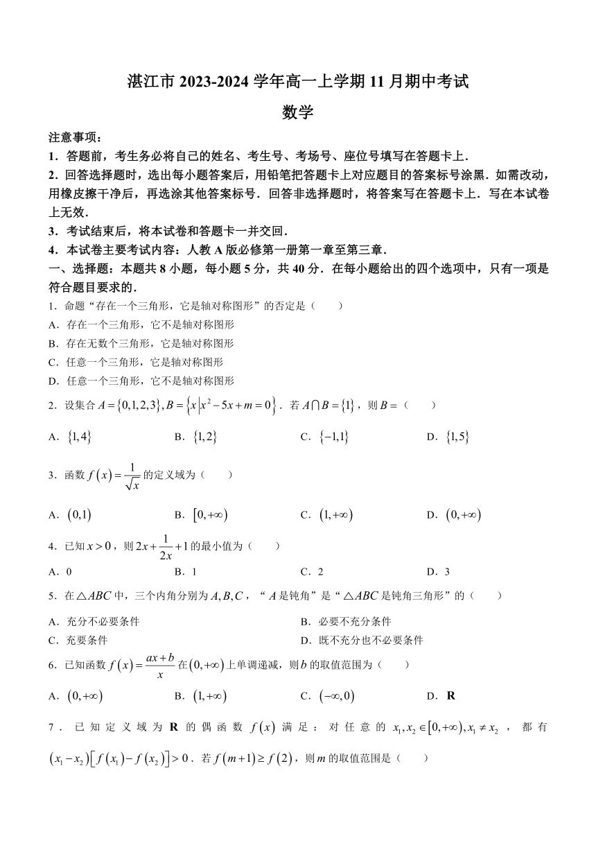 广东省湛江市2023-2024学年高一上学期11月期中考试数学试题（含解析）