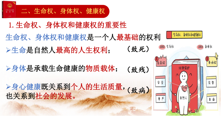 1.2积极维护人身权利课件(共33张PPT)2023-2024学年高中政治统编版选择性必修二法律与生活