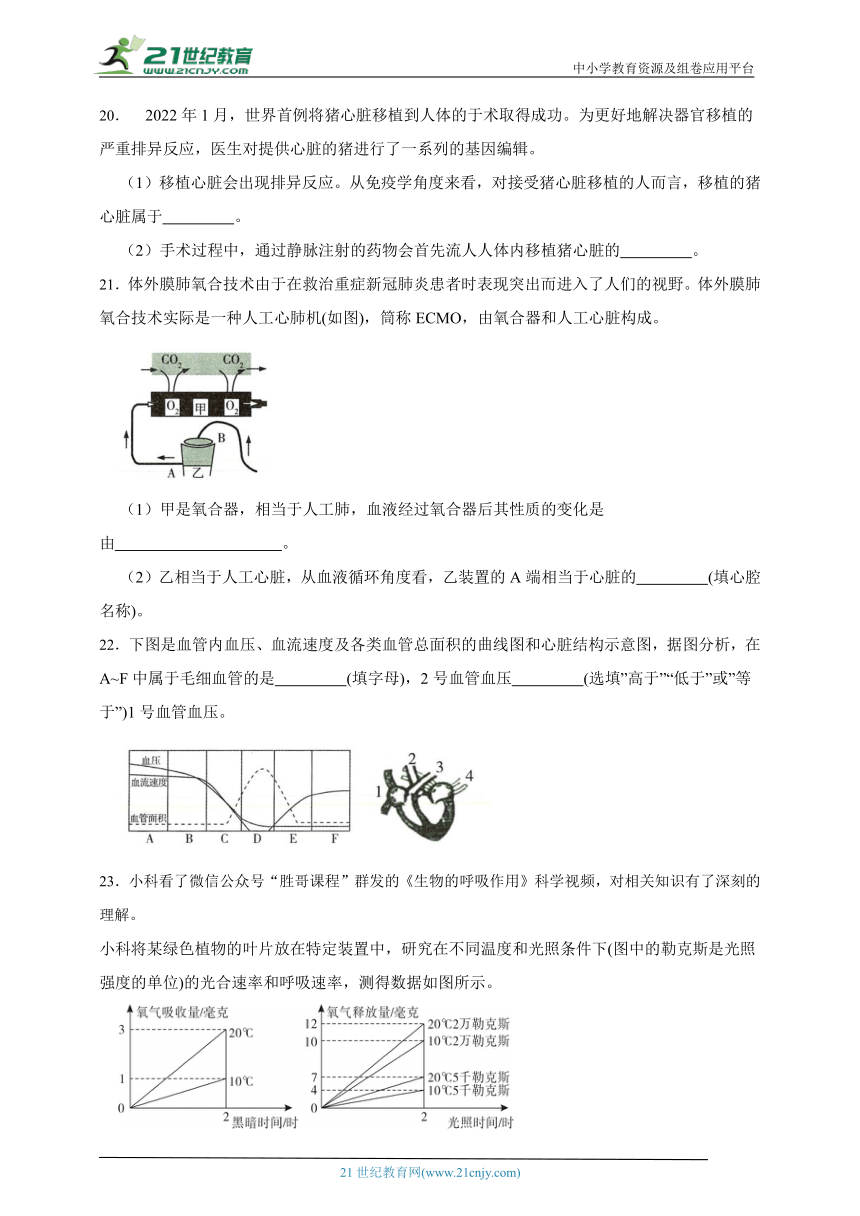 2024年中考科学第一轮复习：生物之生物体内物质和能量转换