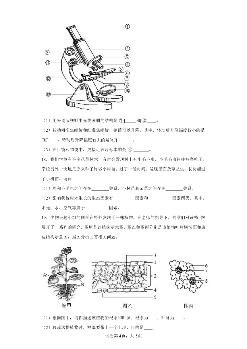 2023-2024学年初中生物苏教版七年级上册期末测试模拟卷2（答案+解析）