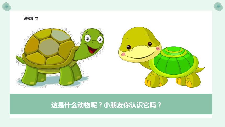 美术社团课程《 可爱的小乌龟》课件(共24张PPT) 小学延时服务