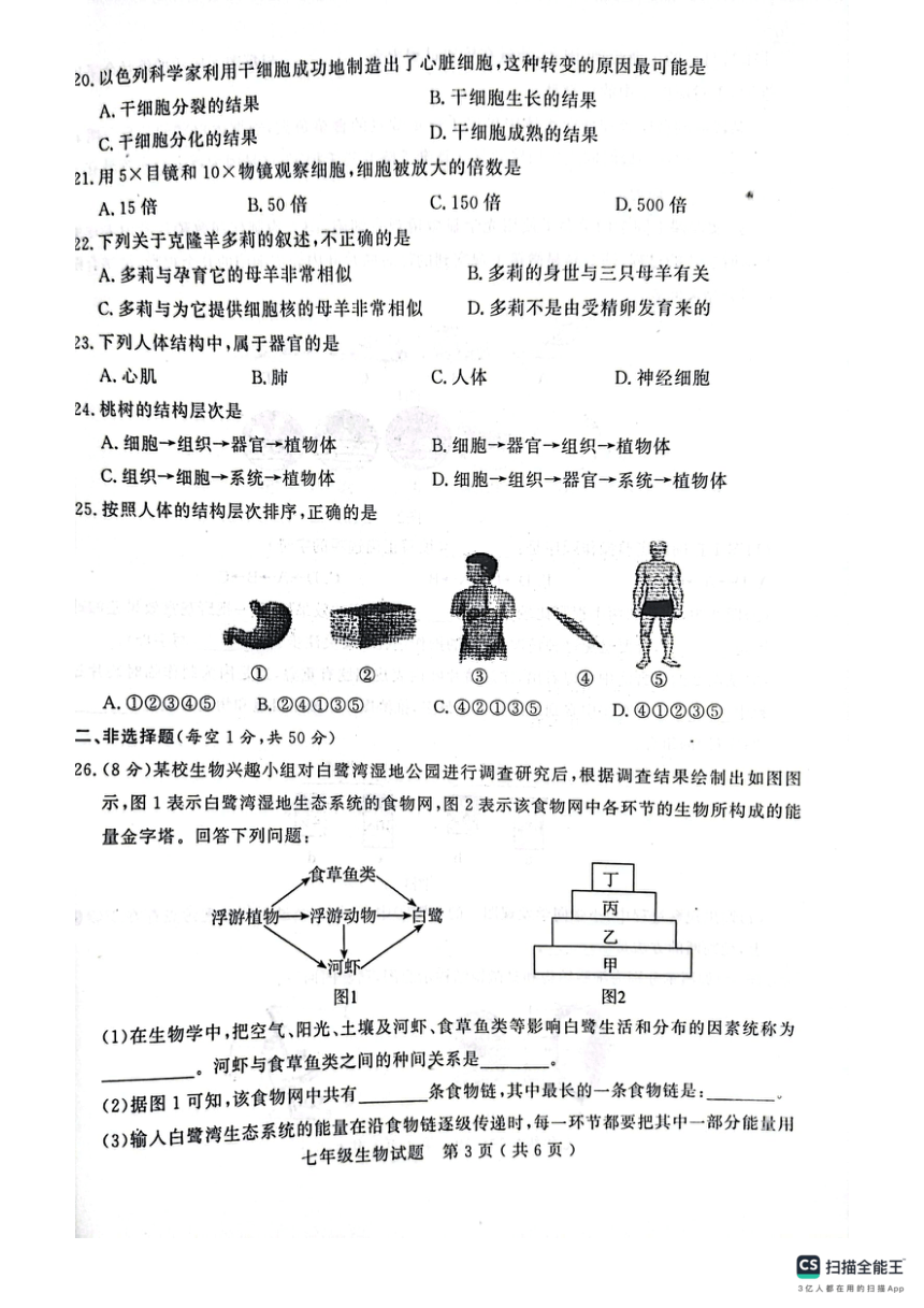 山东省聊城市冠县2023-2024学年七年级上学期期中生物学测试 (pdf版 无答案)