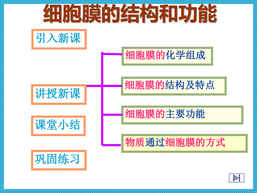 3.1《细胞膜的结构和功能》课件(共22张PPT)-2022-2023学年高一上学期生物人教版（2019）必修1