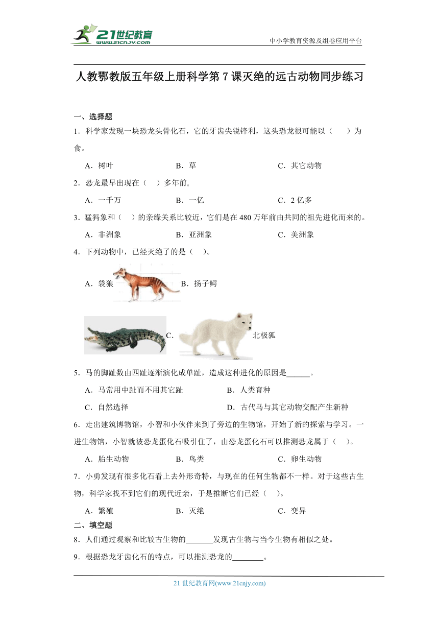 人教鄂教版五年级上册科学2.7 灭绝的远古动物 同步练习（含答案）