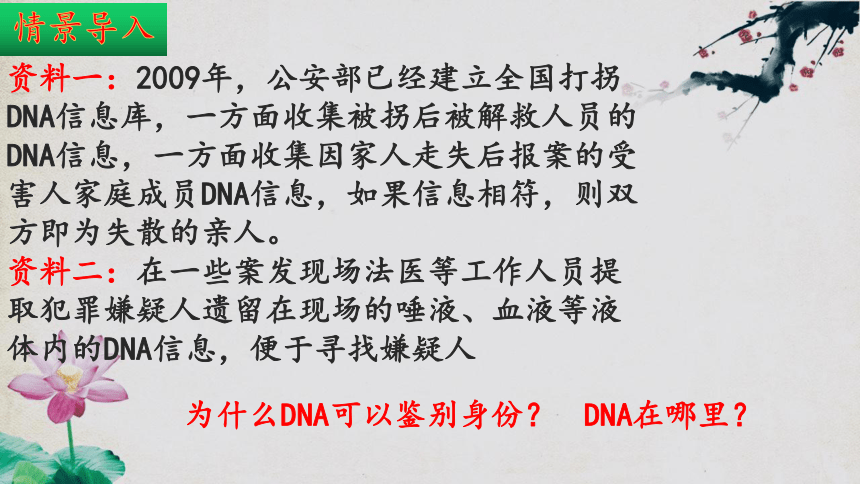 8.22.1 DNA是主要的遗传物质 2023-2024学年八年级生物下册同步精品课件（苏教版）(共35张PPT)