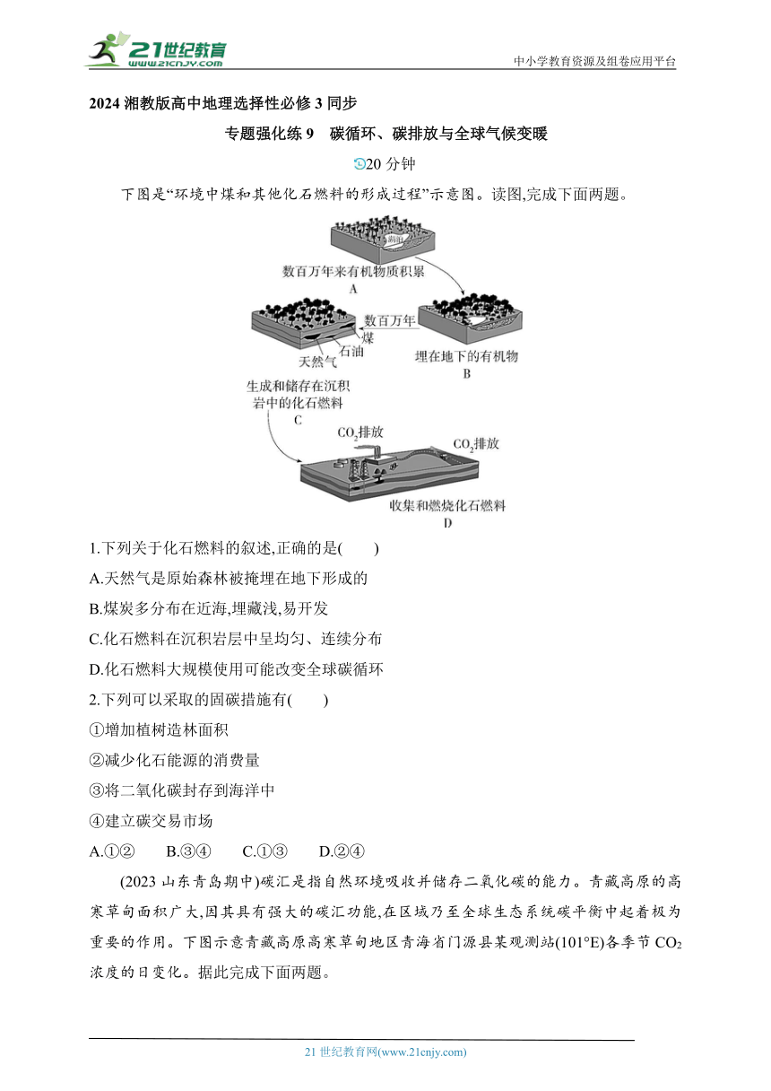 2024湘教版高中地理选择性必修3同步练习题--专题强化练9　碳循环、碳排放与全球气候变暖（含解析）