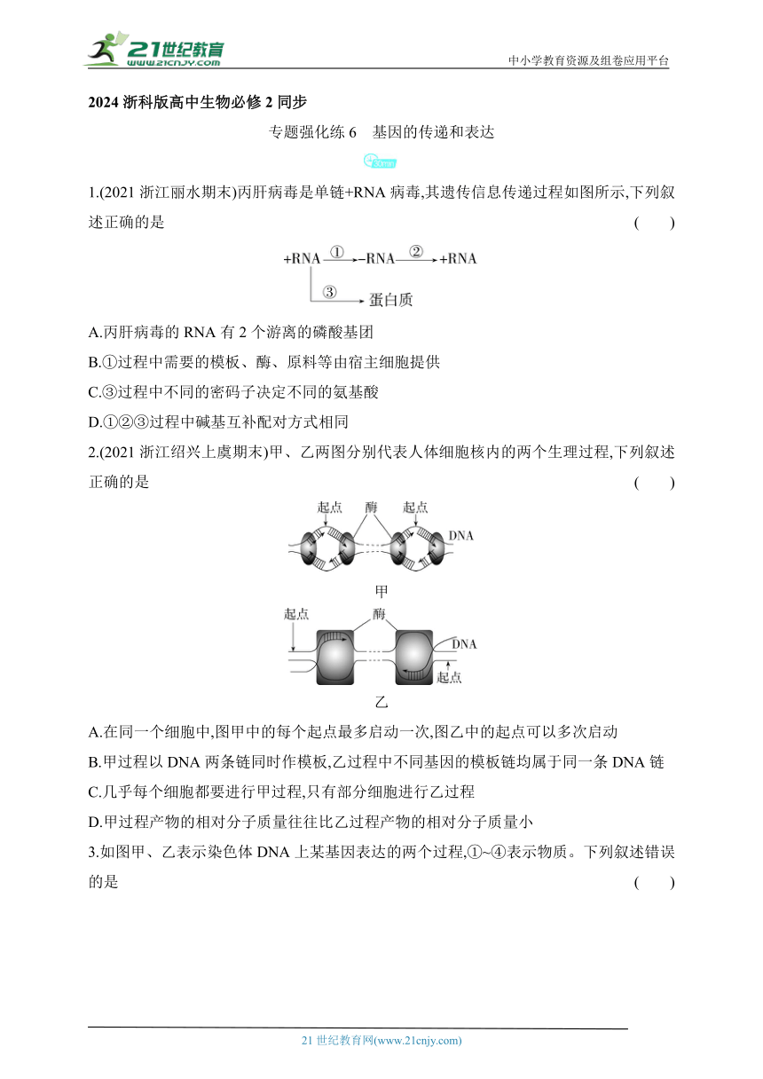 浙科版（2019）高中生物必修2同步练习题：专题强化练6　基因的传递和表达（含解析）