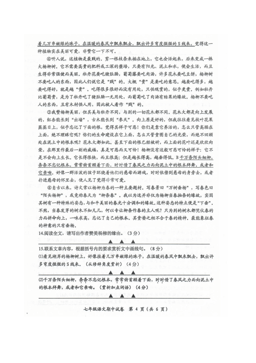 江苏省南通市启东市2023-2024学年七年级上学期11月期中语文试题（图片版，含答案）