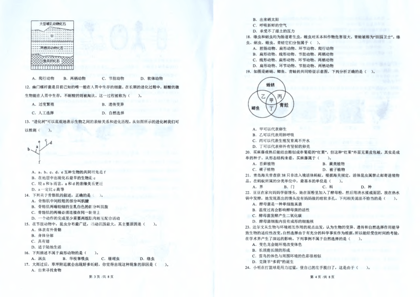 安徽省滁州市全椒县2023-2024学年八年级上学期期中监测生物试卷（图片版无答案）