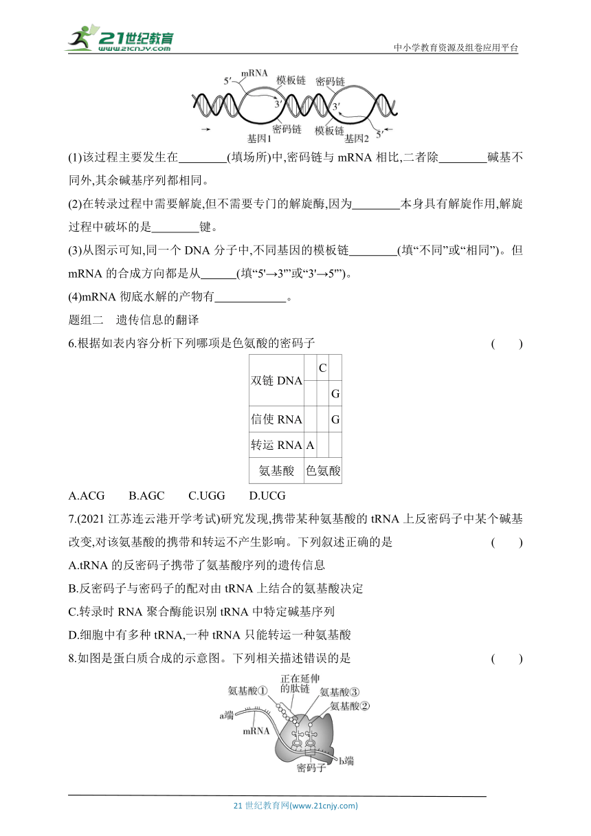 苏教版（2019）高中生物必修2同步练习题：2.3 第一课时 DNA分子通过RNA指导蛋白质的合成（含解析）