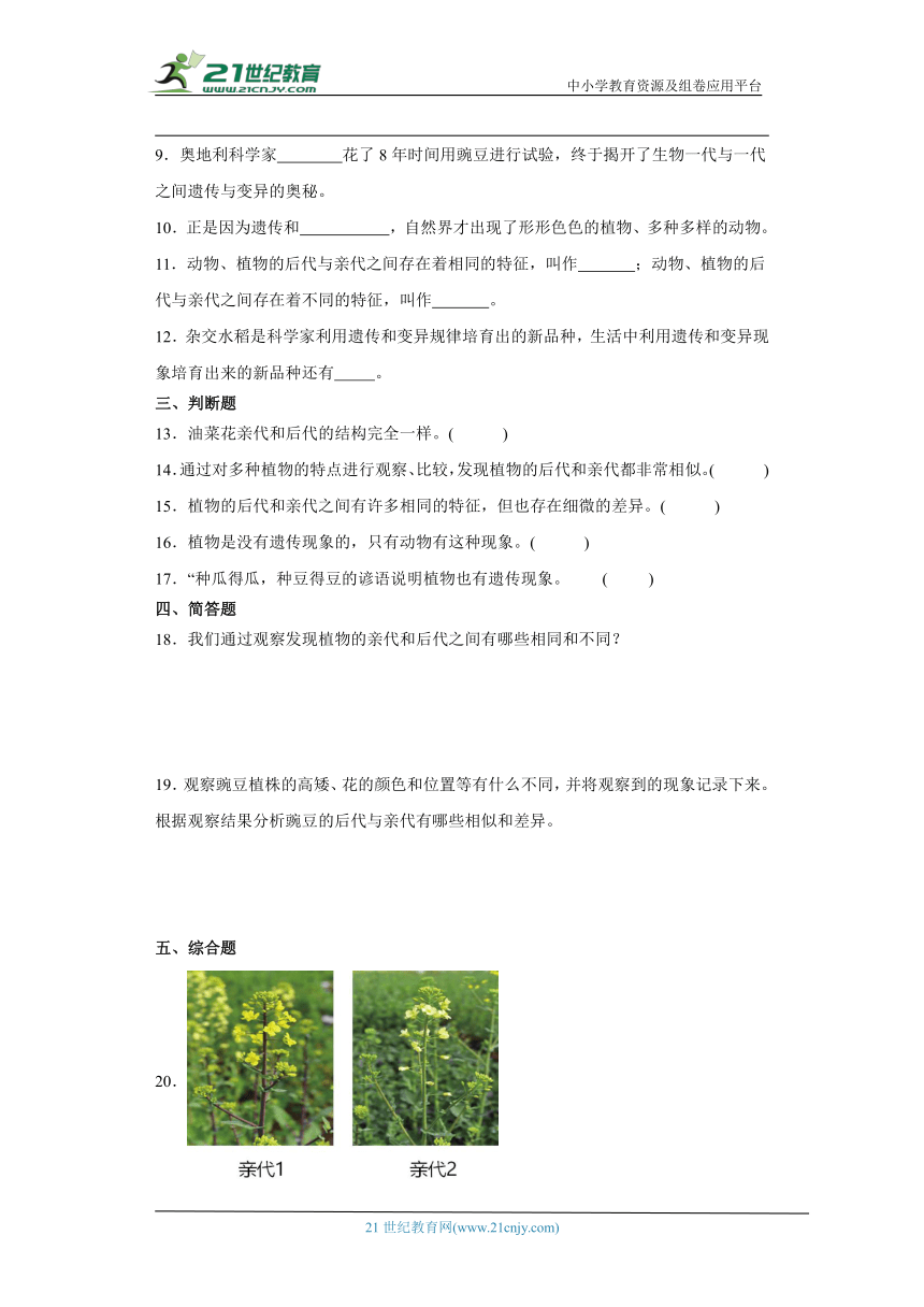 人教鄂教版五年级上册科学2.6 植物的后代与亲代 同步练习（含答案）