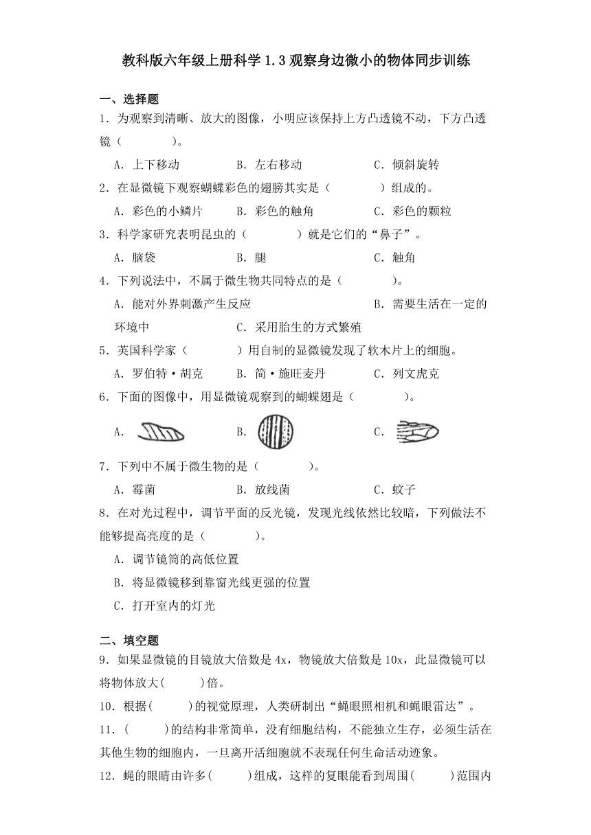 教科版六年级上册科学1.3观察身边微小的物体同步训练（含答案）