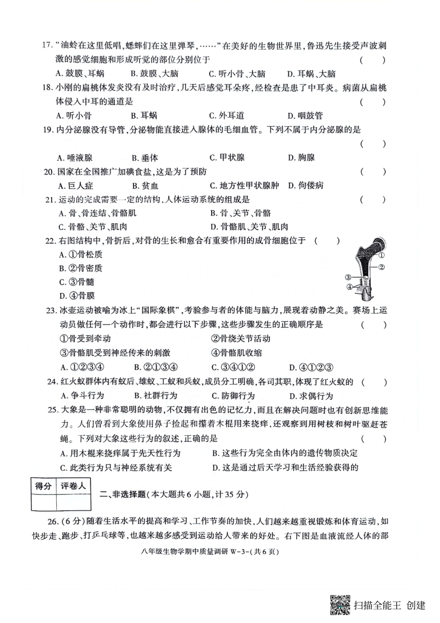 陕西省渭南市临渭区2023-2024学年八年级上学期期中考试生物试题（PDF版无答案）
