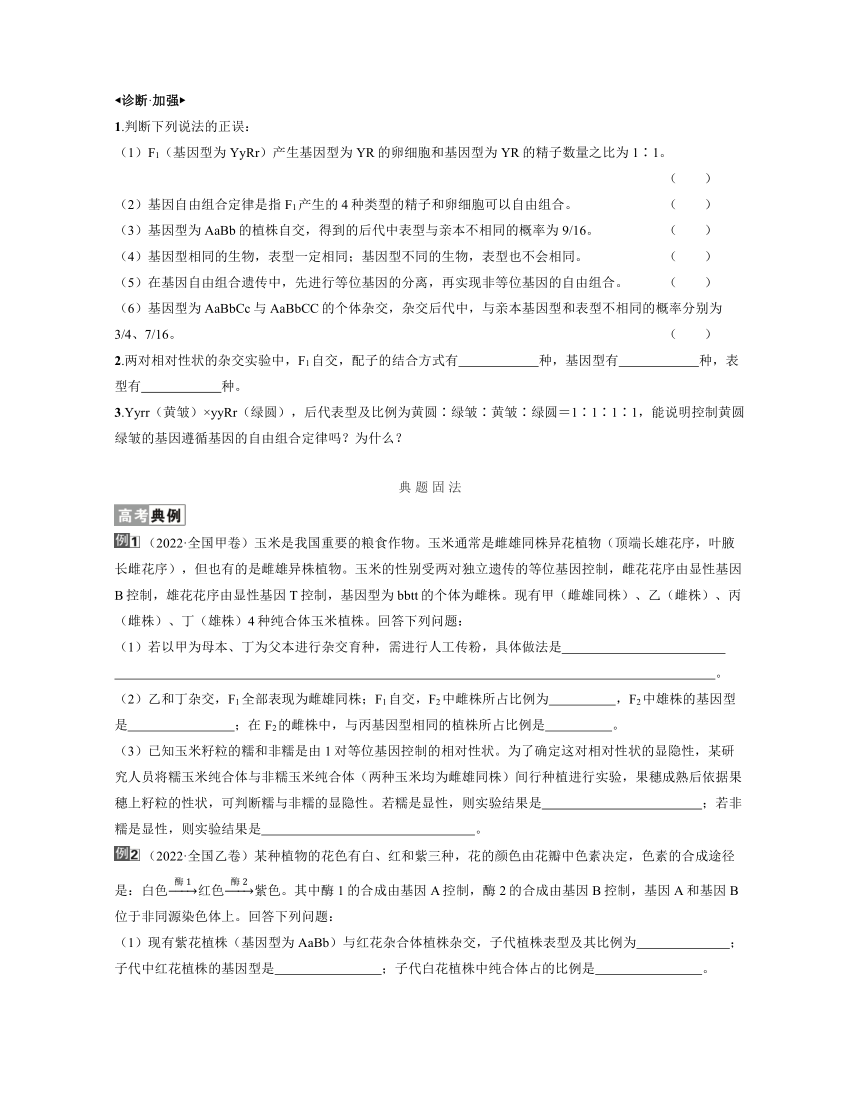 新人教生物一轮复习学案：第18讲　基因的自由组合定律（含答案解析）