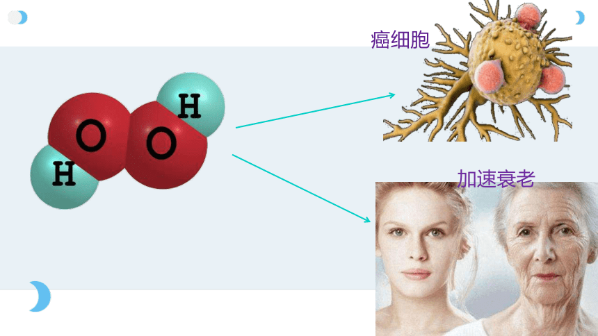 5.1 低化学反应活化能的酶 课件（第一课时）高一生物学（人教版2019必修1）（共19张PPT）