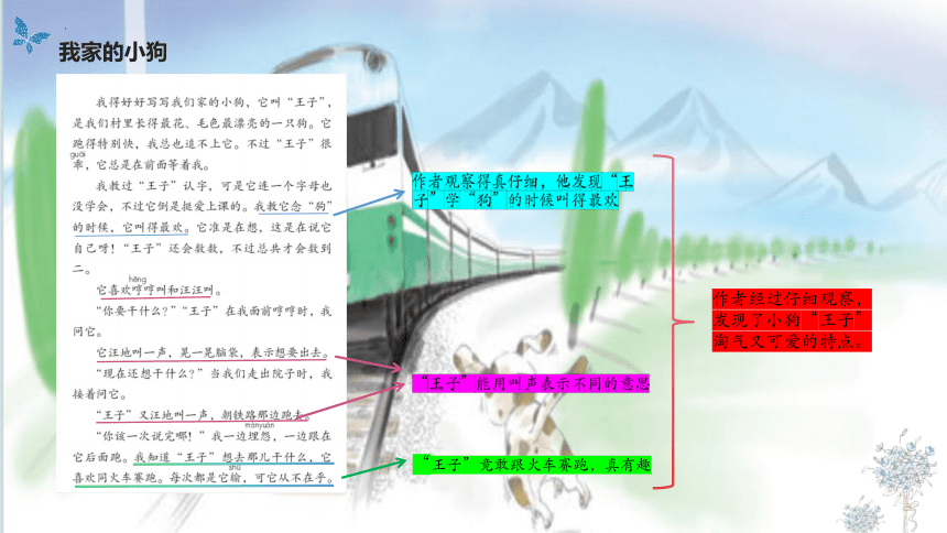 统编版语文三年级上册第五单元+交流平台+初试身手+习作例文  课件(共16张PPT)