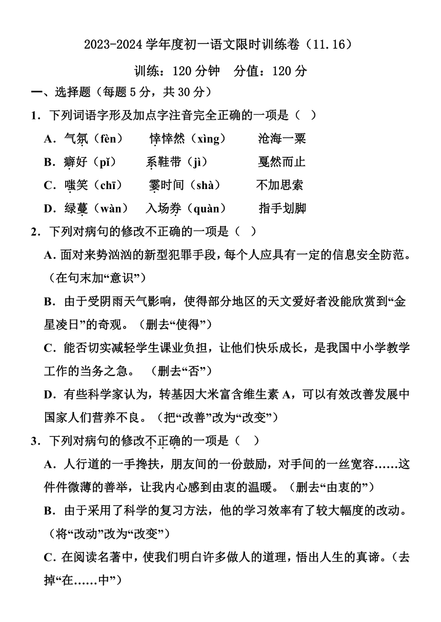 山东省潍坊市坊子区2023-2024学年（五四学制）六年级上学期11月月考语文试题（有解析）