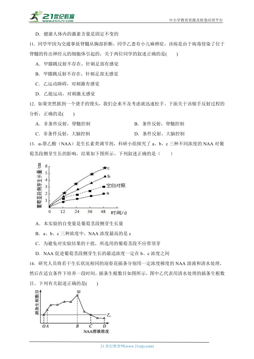 2023-2024年学段高中生物沪科版（2019）高二上学期期末测试模拟题（解析版）