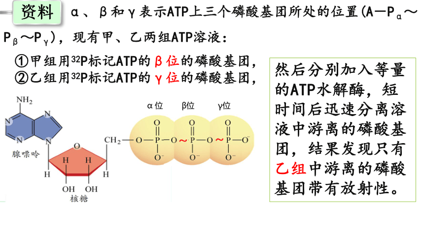 5.2 细胞的能货币ATP课件(共32张PPT)-教版2019必修1