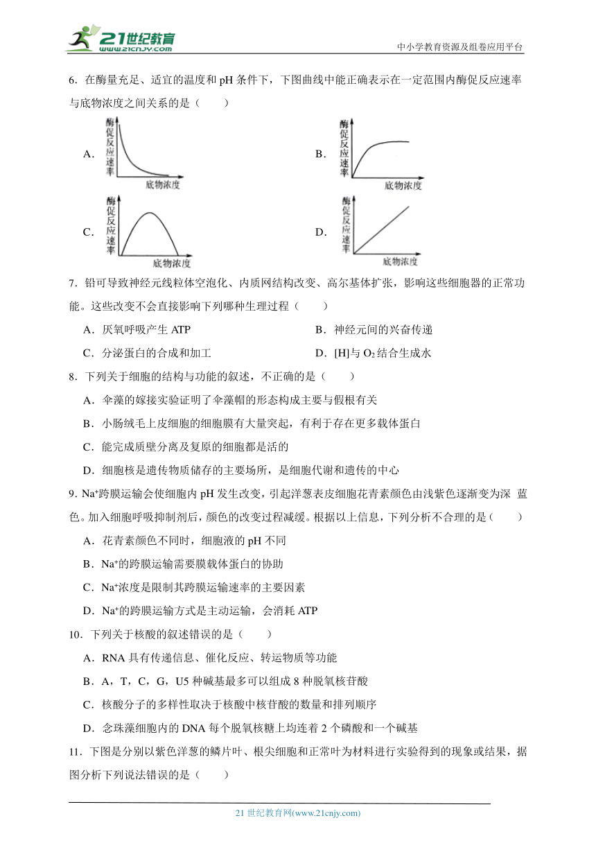 2023-2024学年高中生物沪科版（2019）高一上学期期末测试模拟卷（含解析）