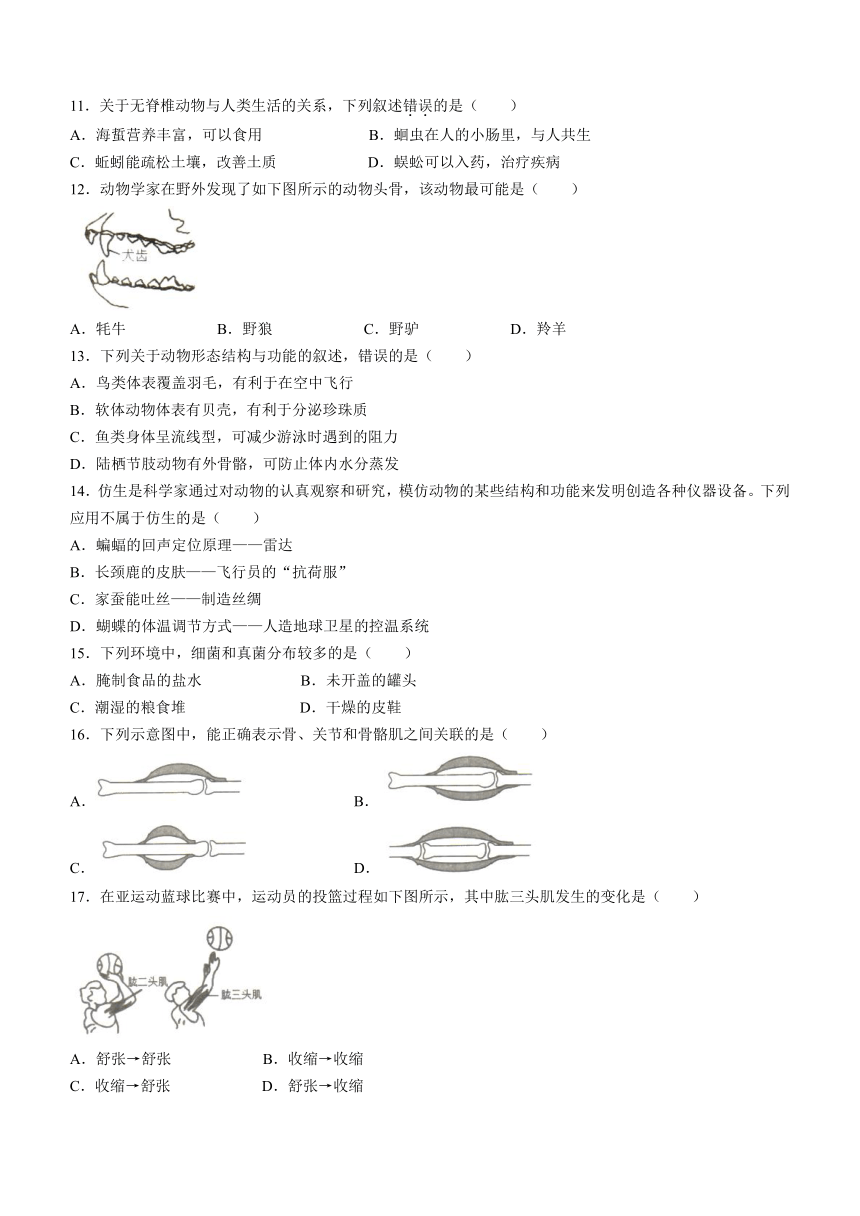 福建省福州市福清市2023-2024学年八年级上学期期中生物试题（含答案）