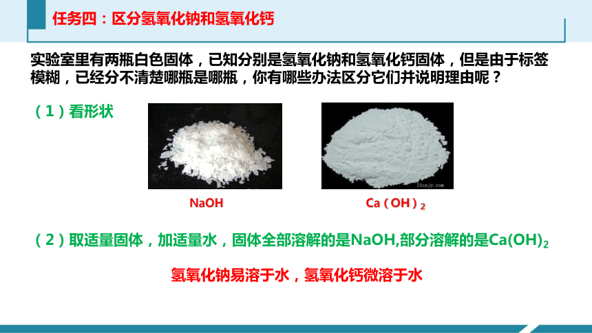 初中科学中考一轮复习专题——常见的碱