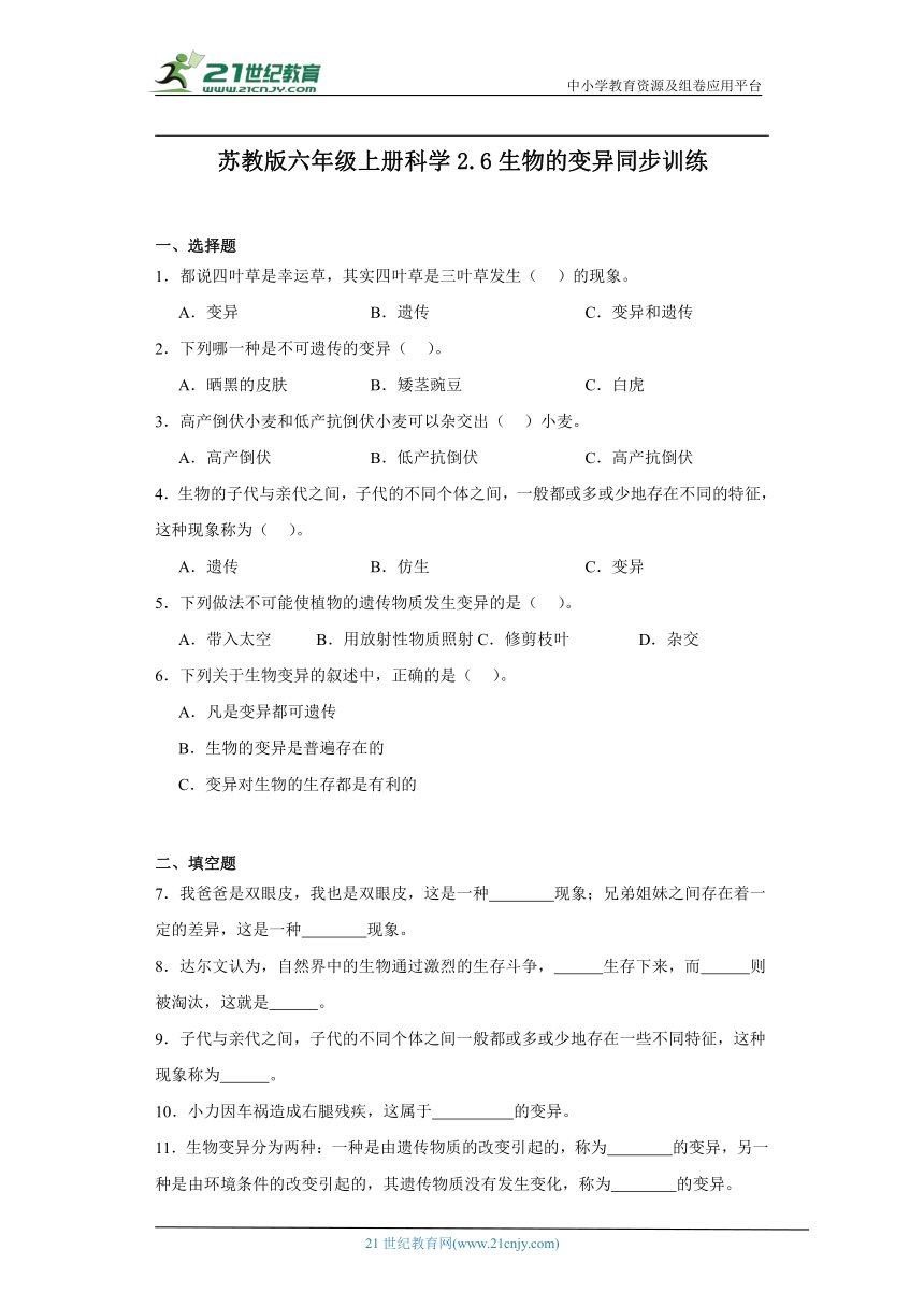 苏教版六年级上册科学2.6 生物的变异 同步训练（含答案）