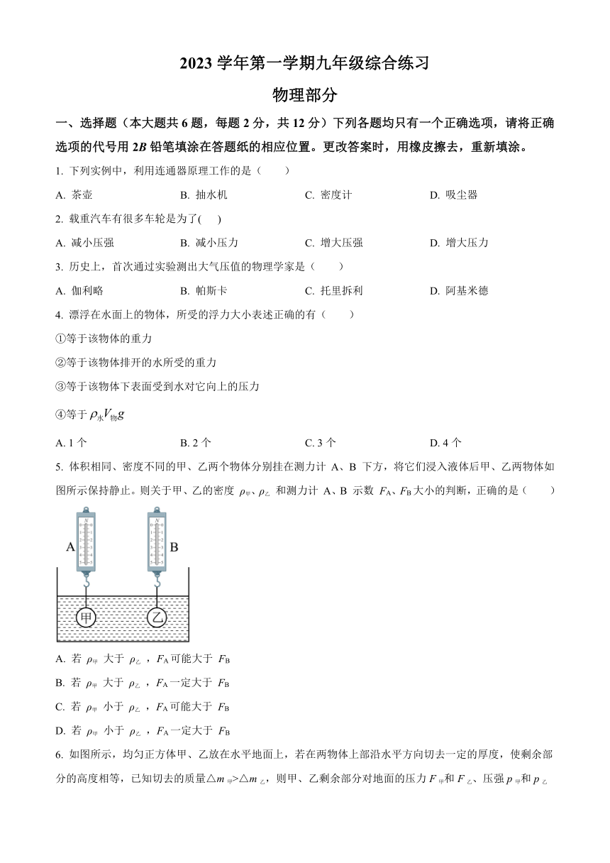 上海市罗星中学2023-2024学年九年级上学期期中考试物理试题（含答案）