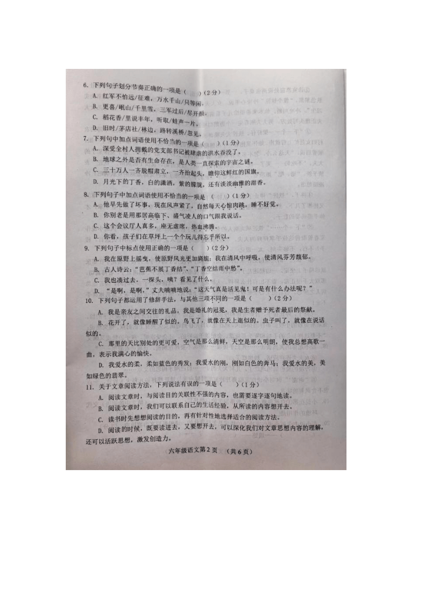 山东省菏泽市2023-2024学年六年级上学期期中考试语文试题（图片版 无答案）