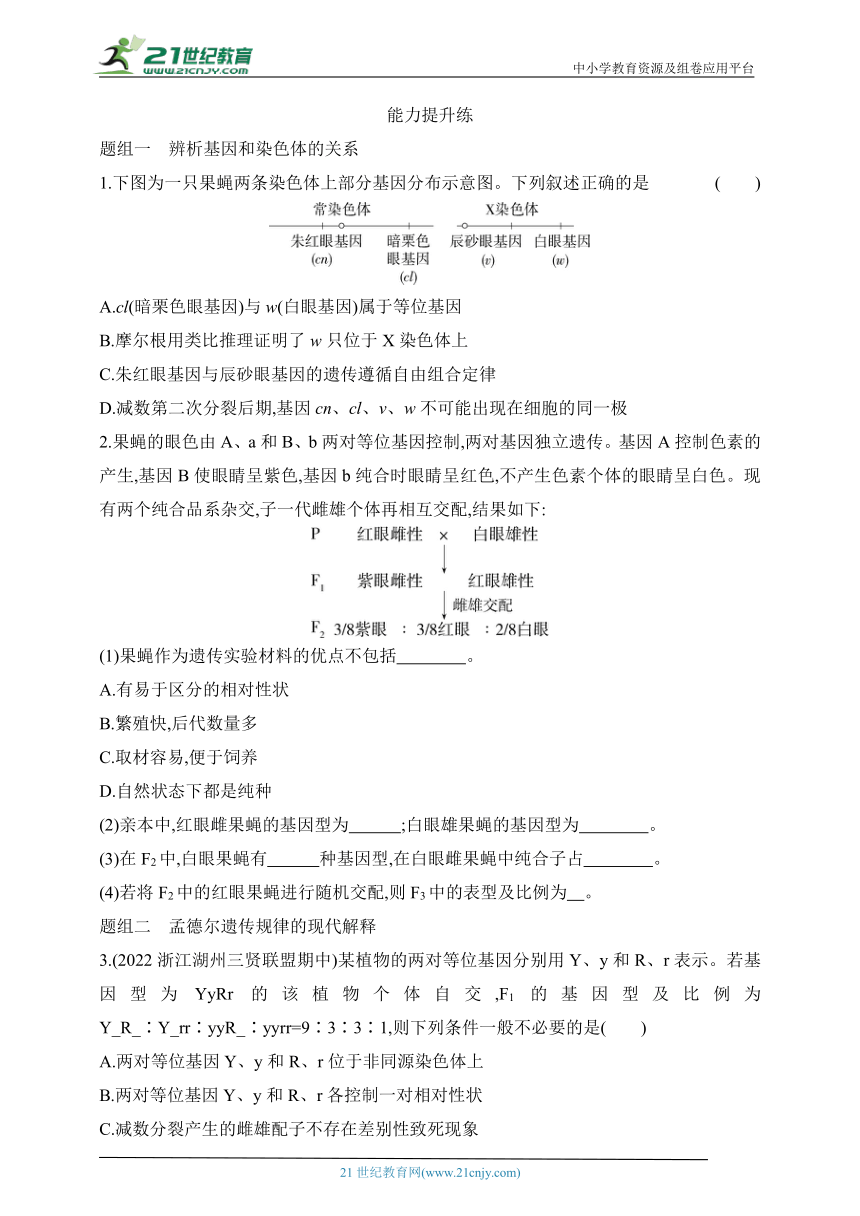 浙科版（2019）高中生物必修2同步练习题：2.2 基因伴随染色体传递（含解析）