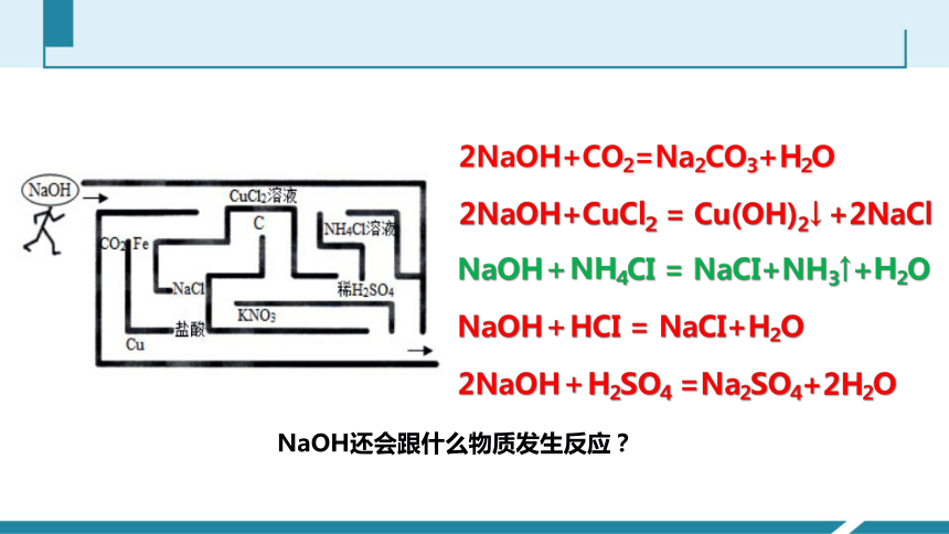 初中科学中考一轮复习专题——常见的碱