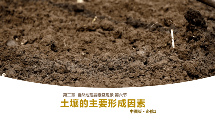 地理中图版（2019）必修第一册2.6土壤的主要形成因素课件（共38张ppt）（内嵌1份视频）