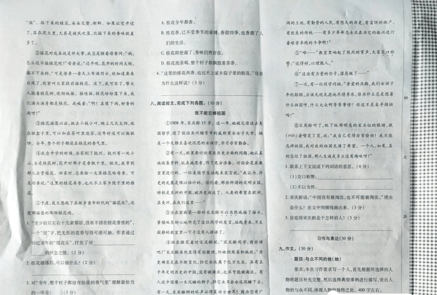 河南省商丘市永城市2023-2024学年五年级上册期中语文试卷（图片版，含答案）