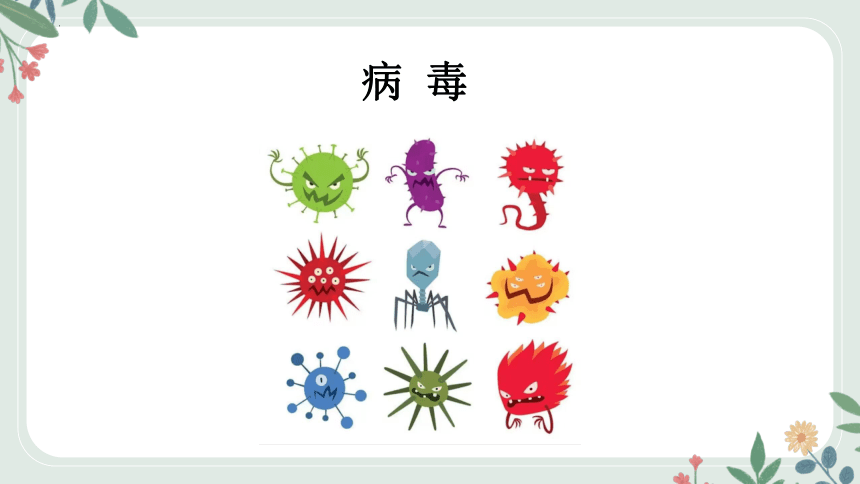 4.3微生物——病毒课件(共15张PPT+内嵌视频1个) 沪教版——生命科学 第二册