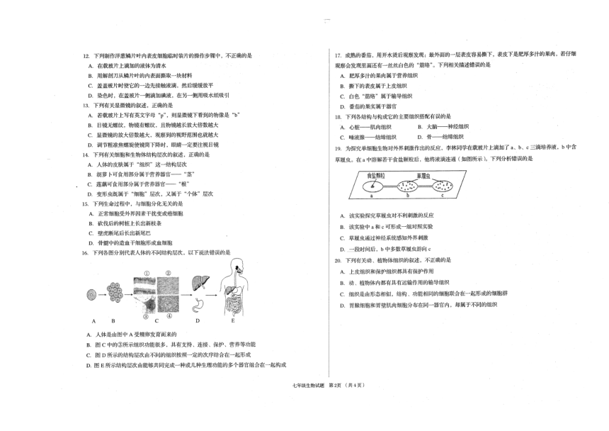 山东省青岛市李沧区2023-2024学年七年级上学期期中考试生物试题（PDF版无答案）