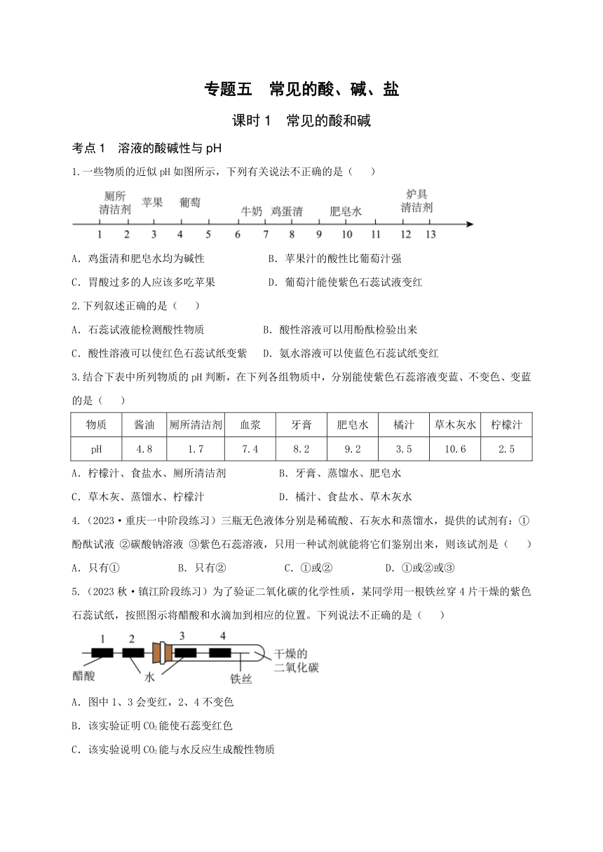 2024年贵州省中考化学专题复习卷五（课时1）常见的酸、碱、盐(含答案)