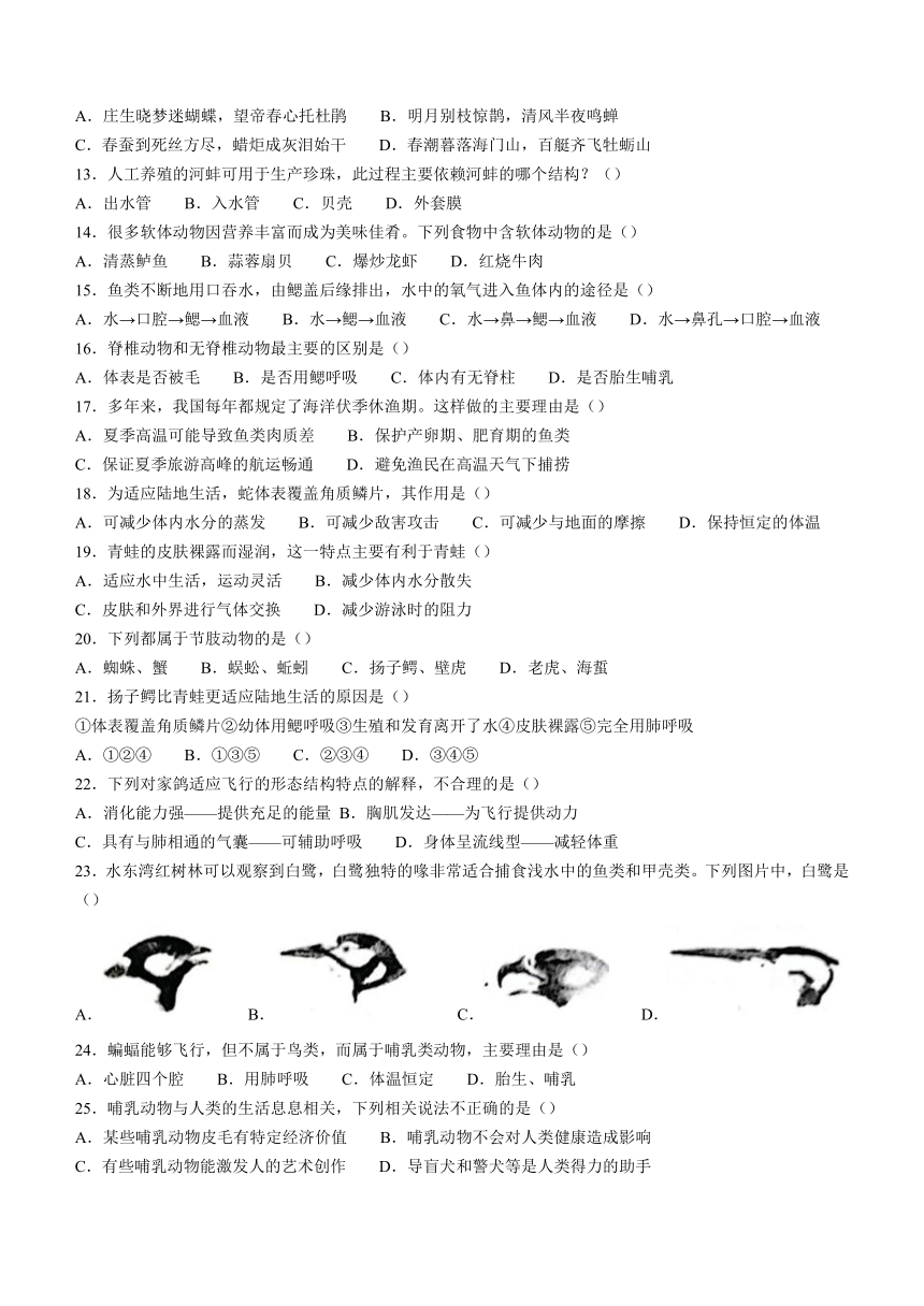 广东省茂名市电白区2023-2024学年八年级上学期期中生物试题（含答案）