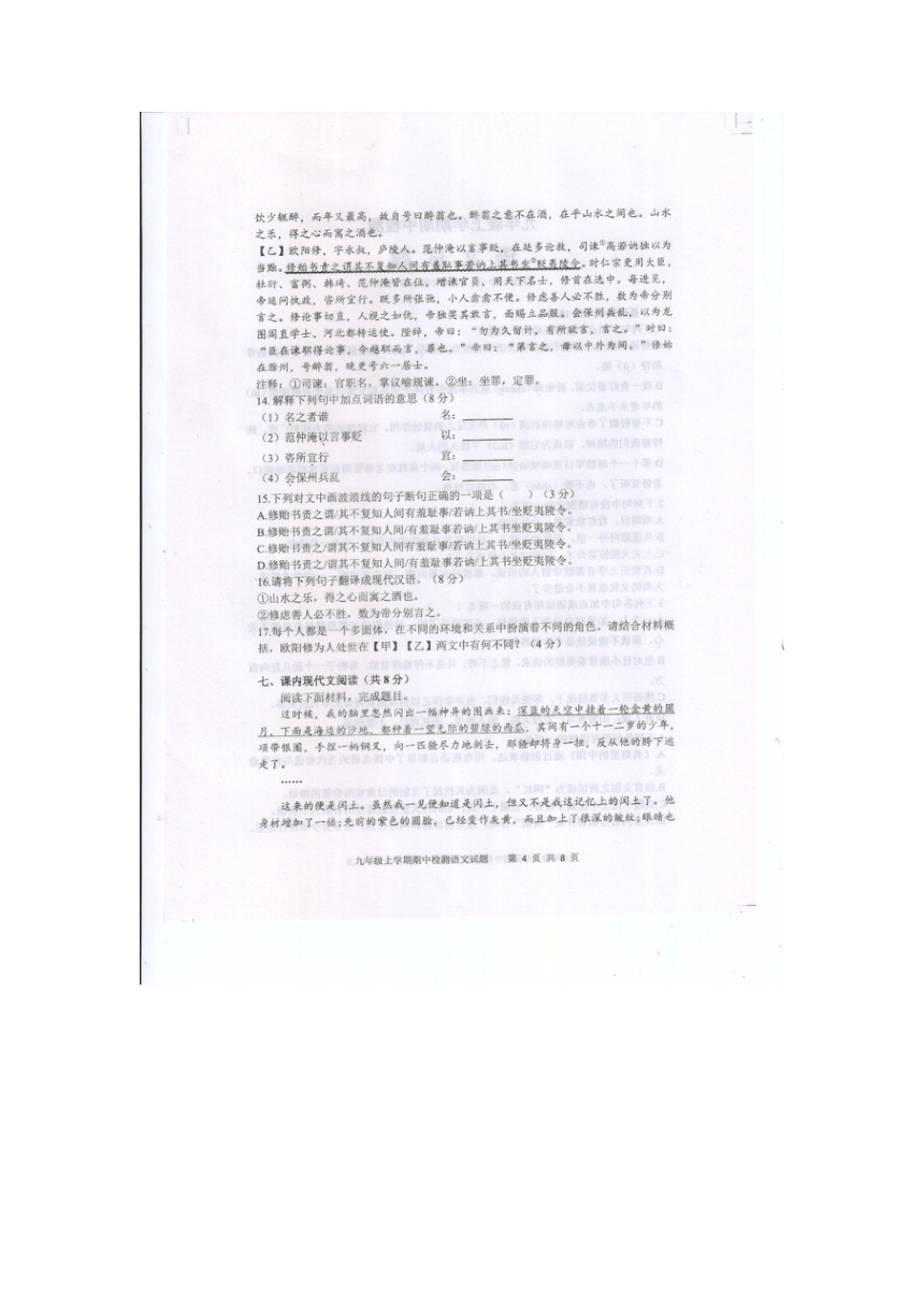 山东省泰安市新泰市2023-2024学年九年级上学期期中考试语文试题（pdf版无答案）