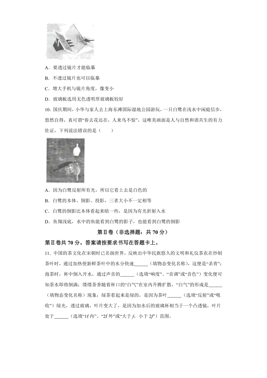 江苏省南通市启东市2023-2024学年八年级上学期11月期中物理试题（含解析）