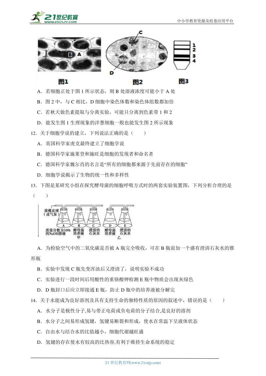 2023-2024学年高中生物沪科版（2019）高一上学期期末测试模拟卷（含解析）