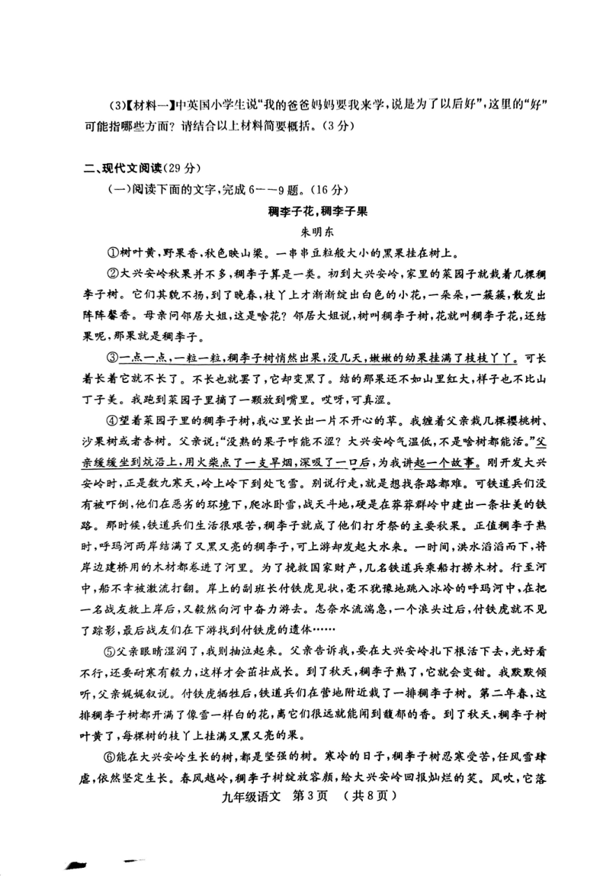 河南省安阳市汤阴县2023-2024学年九年级上学期11月期中考试语文试题（图片版，含答案）