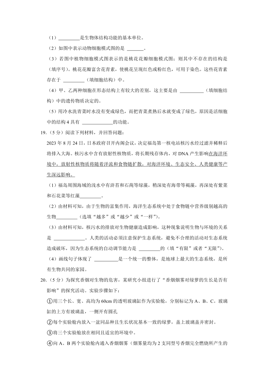 广西柳州市第八中学教育集团2023-2024学年七年级上学期期中生物试卷（含解析）