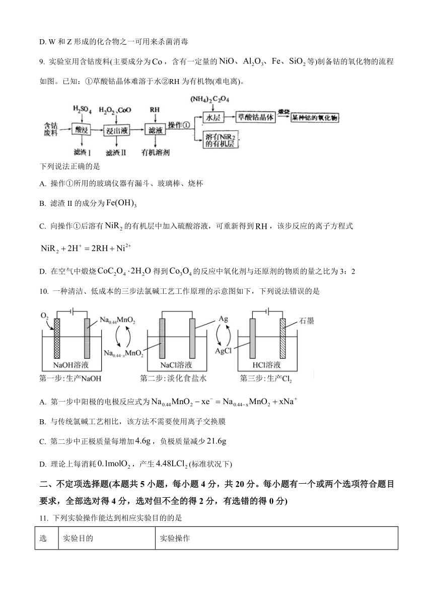 山东省滨州市2023-2024学年高三上学期11月期中考试化学试题（含解析）