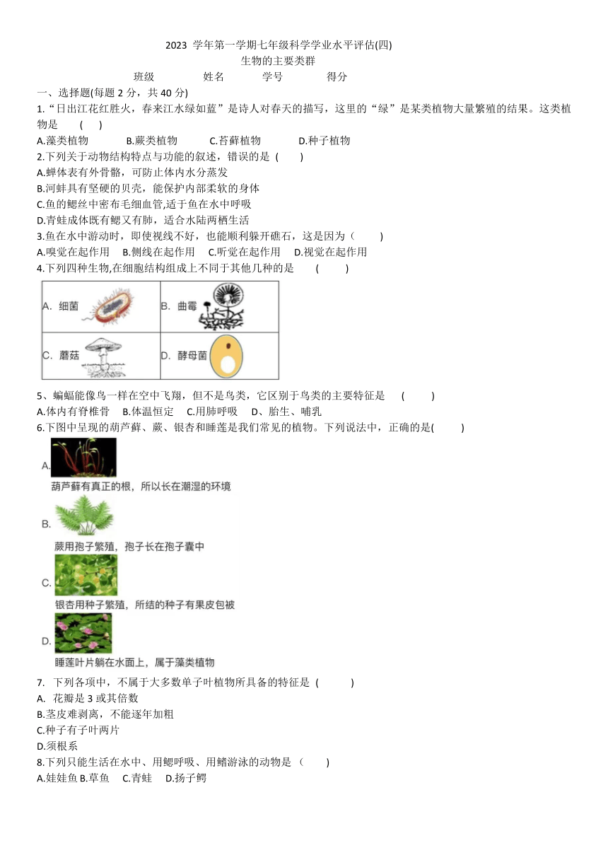 第2章 生物的主要类群 学业水平评估（四）（含答案）