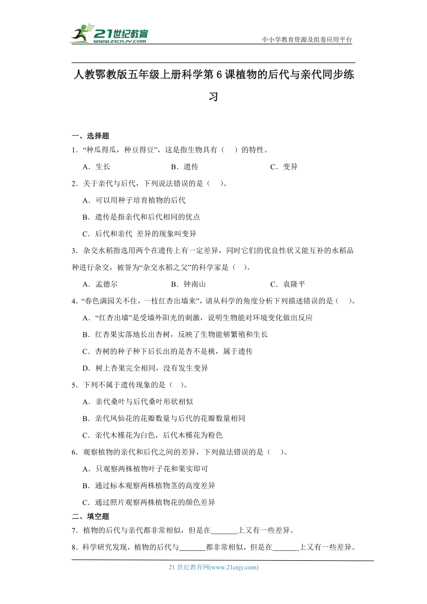 人教鄂教版五年级上册科学2.6 植物的后代与亲代 同步练习（含答案）